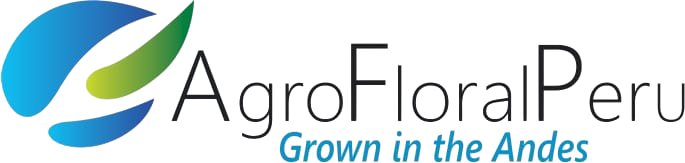 WhatsApp_Image_2024-07-25_at_10.03.14-removebg-preview