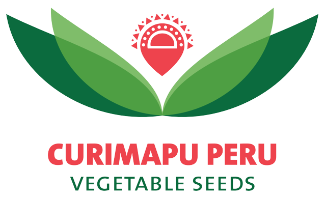 logo-curimapu