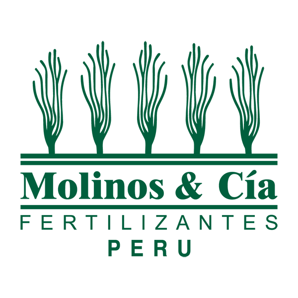 Patrocinador Plata 4