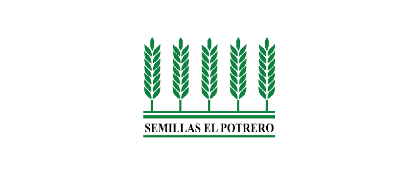 Patrocinador Plata 4
