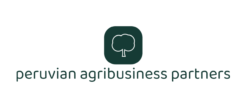 Media Partner 2