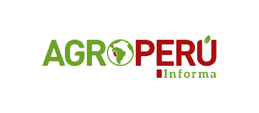 Media Partner 3