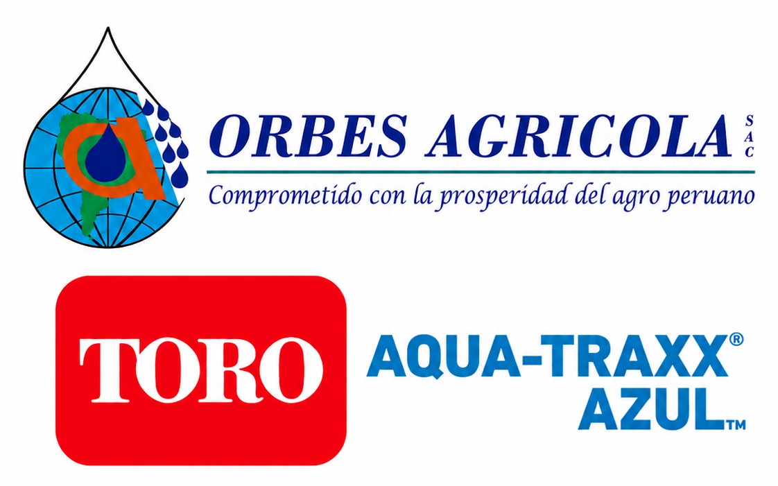 Patrocinador Plata 4
